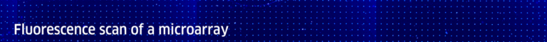Microarray Printer with non-contact piezo tips for multiparameter analysis