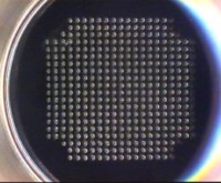 Microarray Printer with non-contact piezo tips for multiparameter analysis