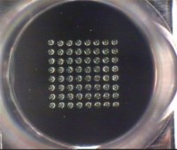 Microarray Printer with non-contact piezo tips for multiparameter analysis