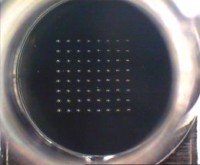 Microarray Printer with non-contact piezo tips for multiparameter analysis