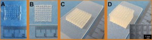 3D plotting of alginate-based hydrogel scaffolds: (A) 3 wt% alginate without methylcellulose, four layers; (B) 3 wt% alginate + 9 wt% methylcellulose (alg/MC), four layers; (C) alg/MC, 20 layers; (D) alg/MC, 50 layers; (insert) top view. [1]