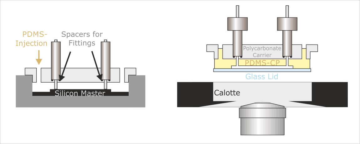 he “MicCell-Process”: Preparation of the PDMS-CP “Channel Plate” (Left); Position of the PDMS-CP during usage (Right)