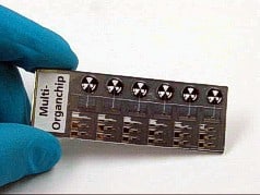 Multiorgan chip