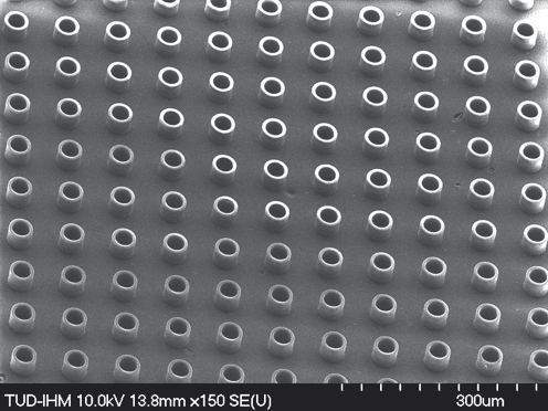 Picowells, 25 µm wide, printed by UV-NIL, empty
