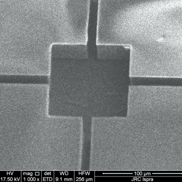 Scanning electron microscopic image of one well of the microarray (by Cesar Pasqual Garcia)
