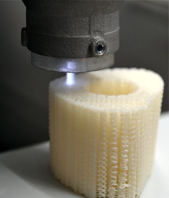 Plasma treatment of a bone biopolymer scaffold during printing