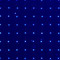Fluorescence scan microarray thumbnail