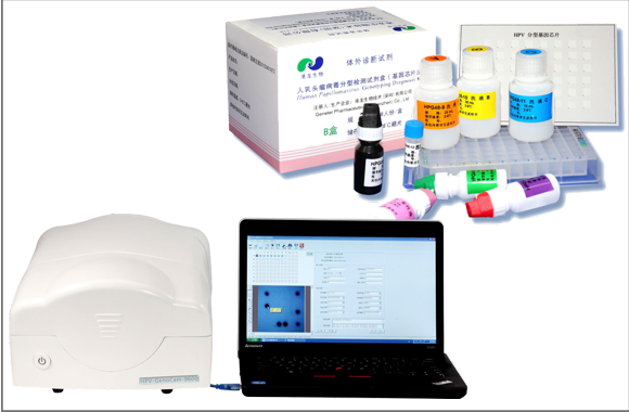 Diagnostic kit for detection of HPV with camera based reader