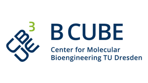 logo bcube