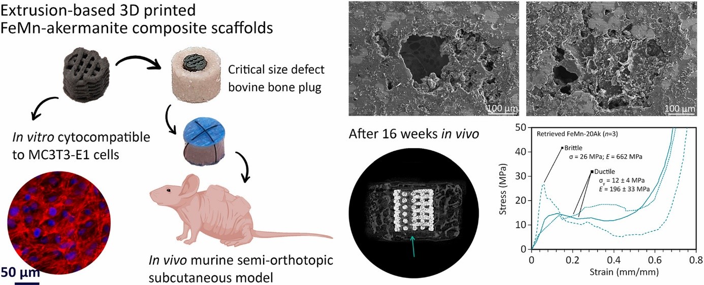 Image taken from Graphical Abstract
